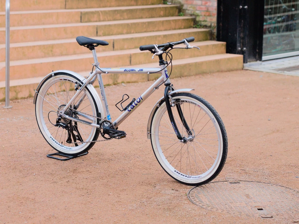 CaloiAndesComplex_02