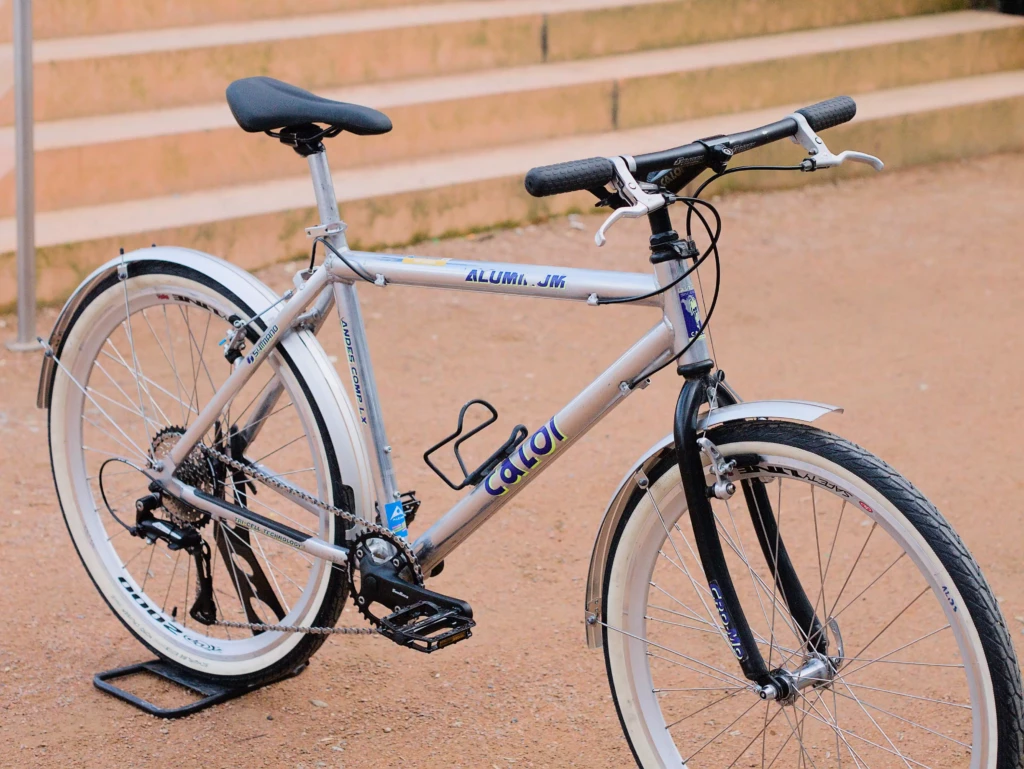 CaloiAndesComplex_03