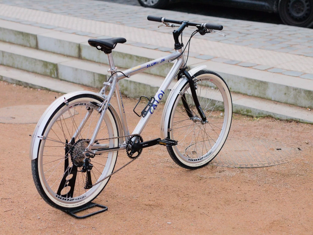 CaloiAndesComplex_04