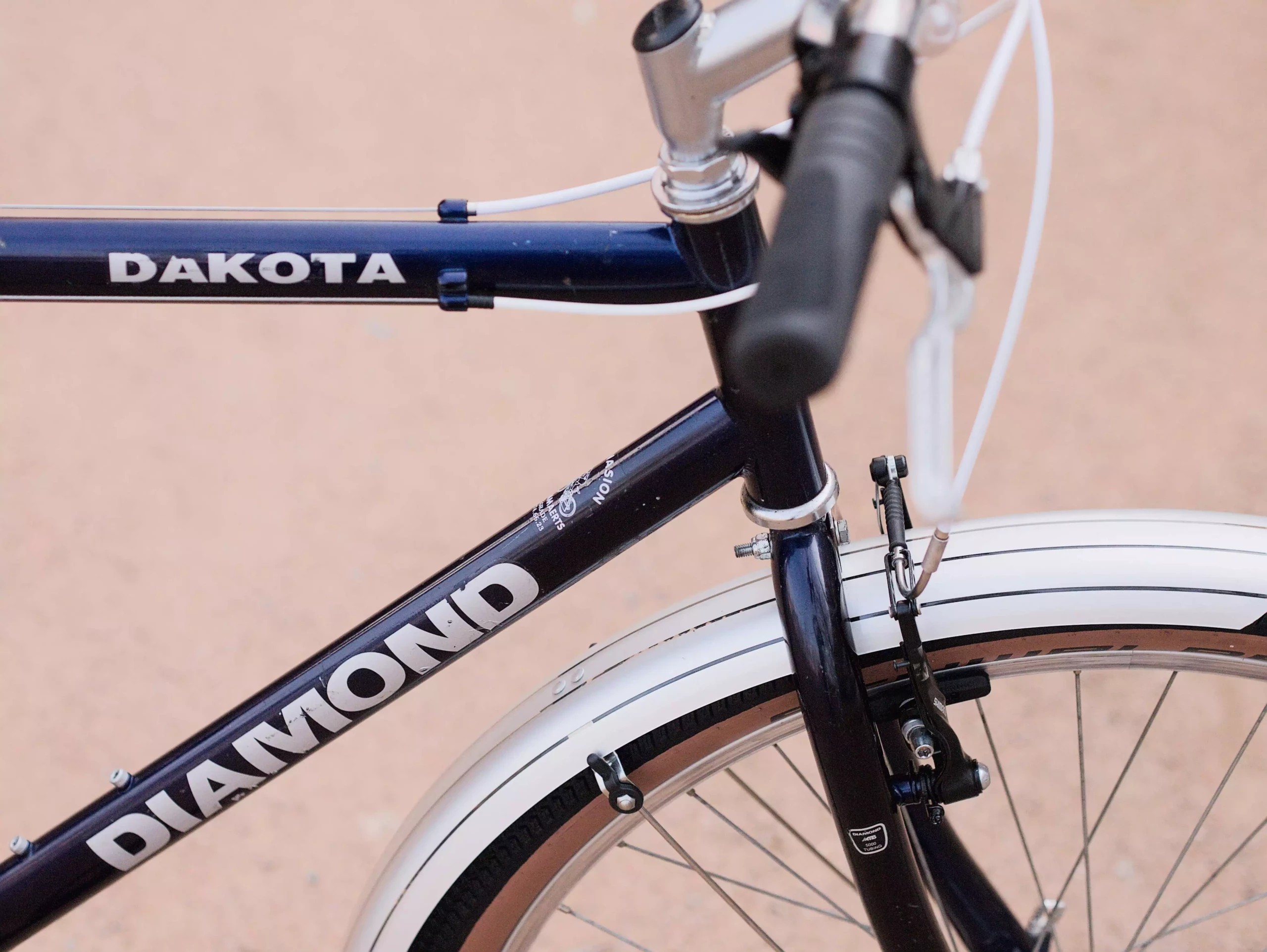 DiamondDakotaBleu01_04