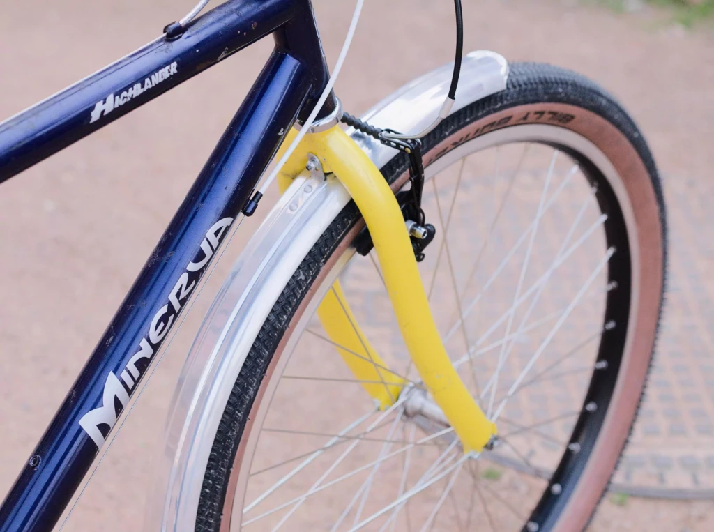 MinervaHighlanderBleuJaune_04