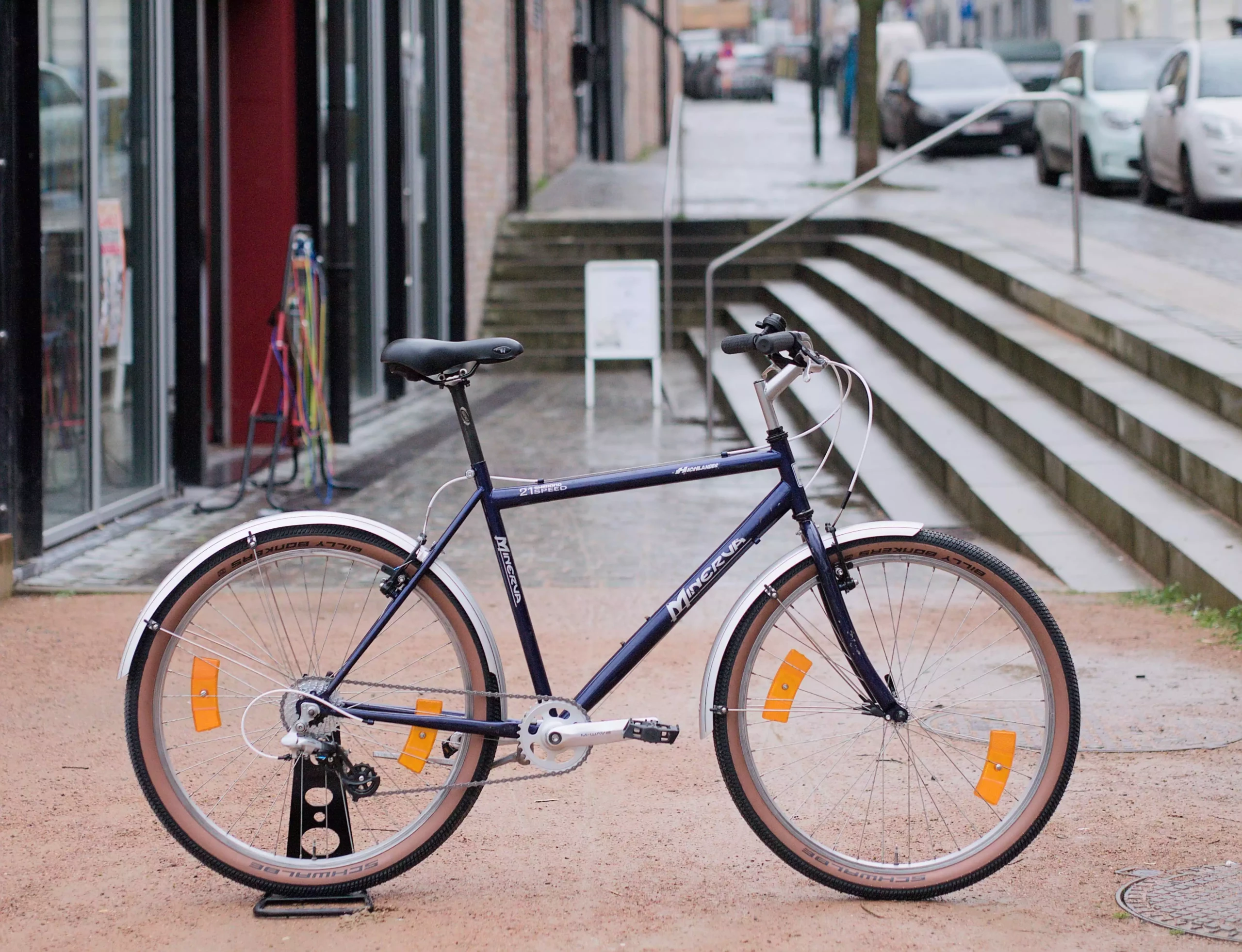 MinervaHiglanderBleu_01