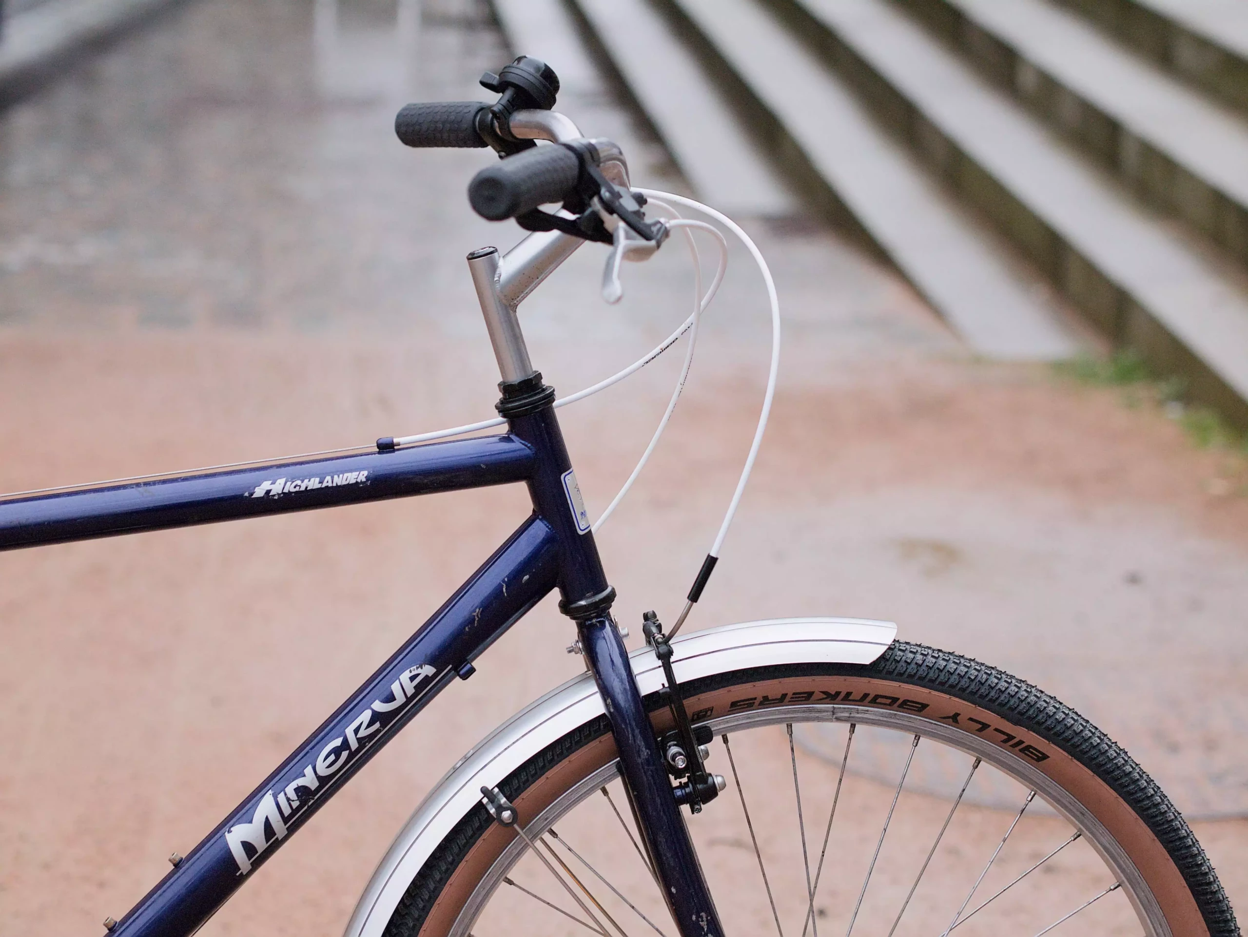 MinervaHiglanderBleu_04