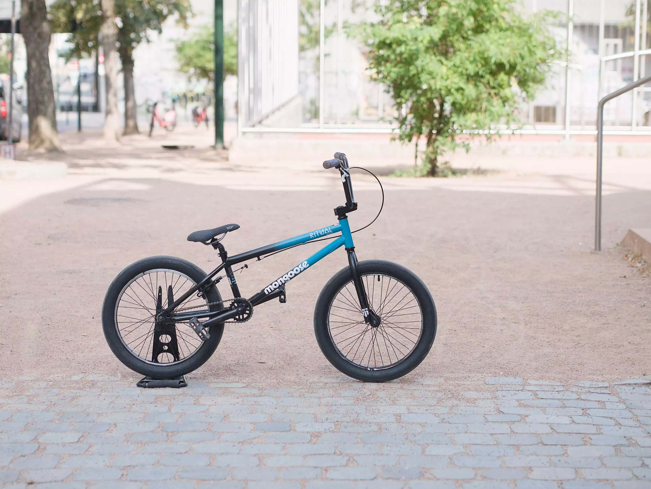 Mongoose BMX_01