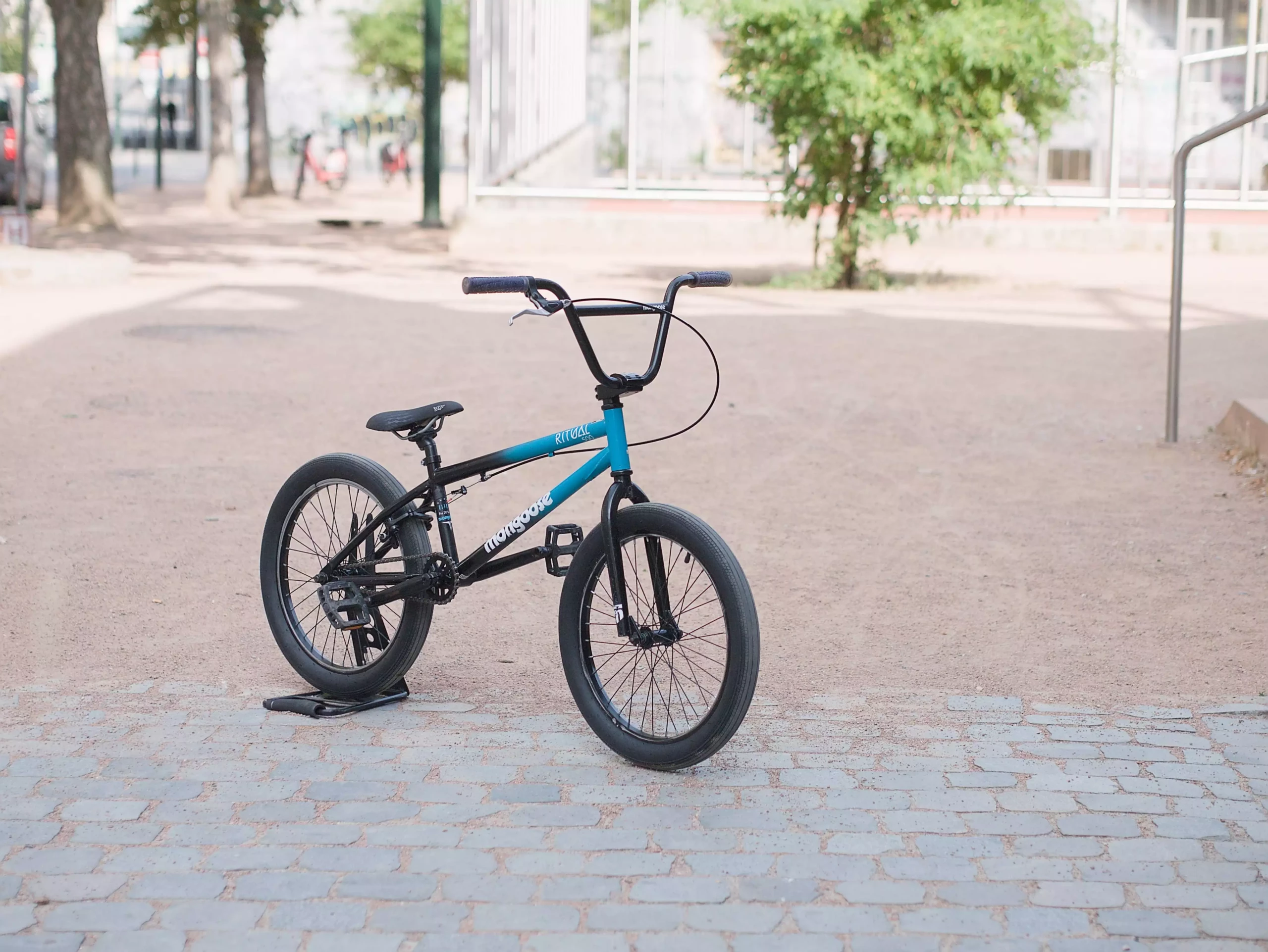 Mongoose BMX_02