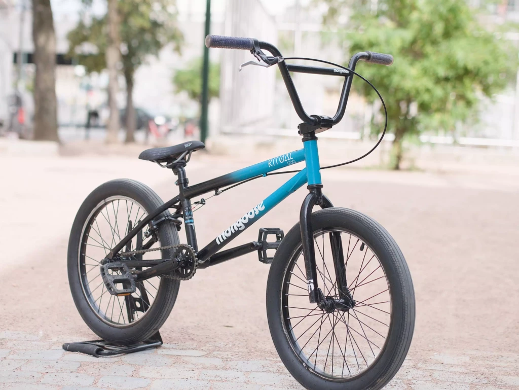 Mongoose BMX_03