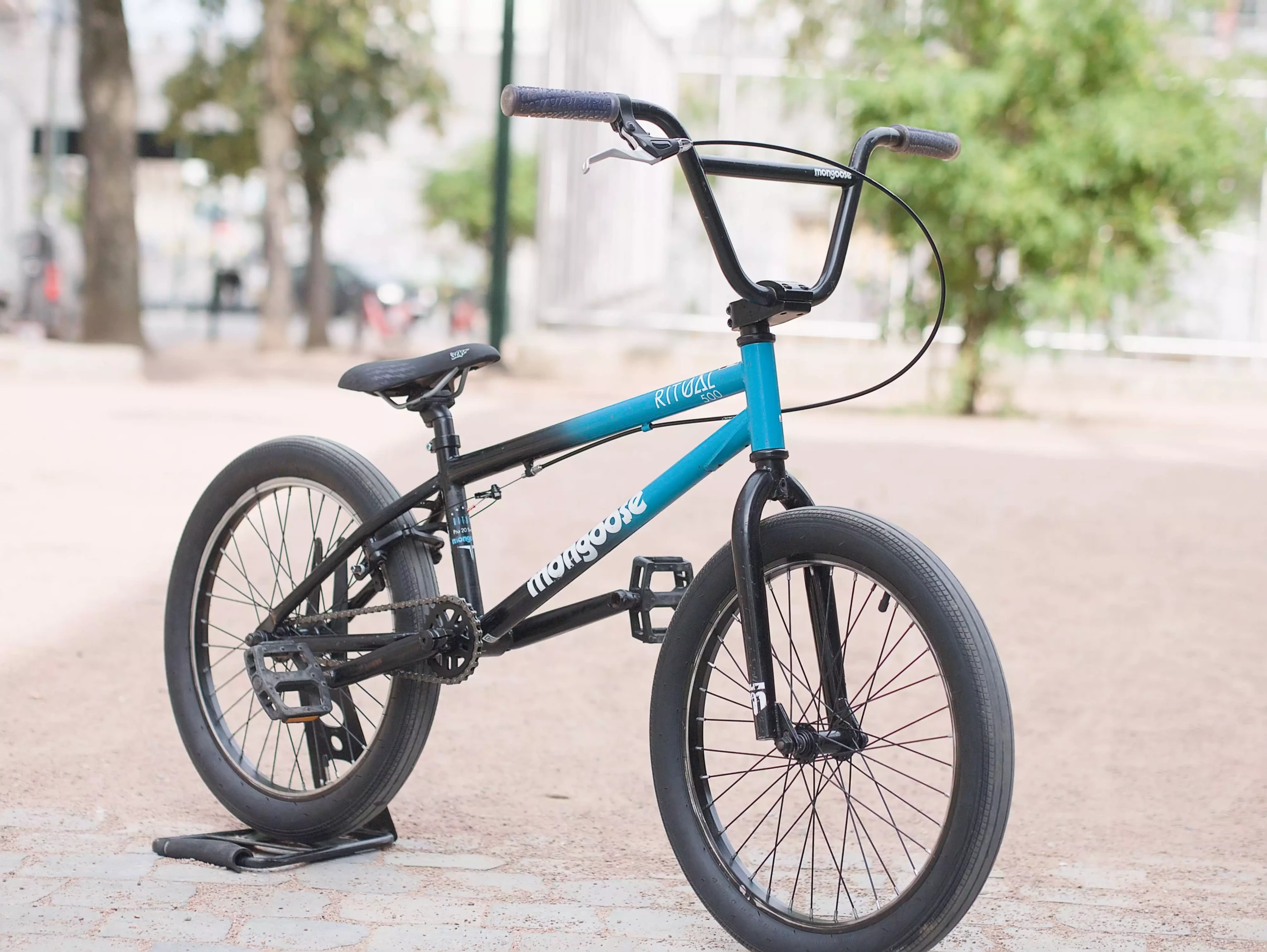 Mongoose BMX_03