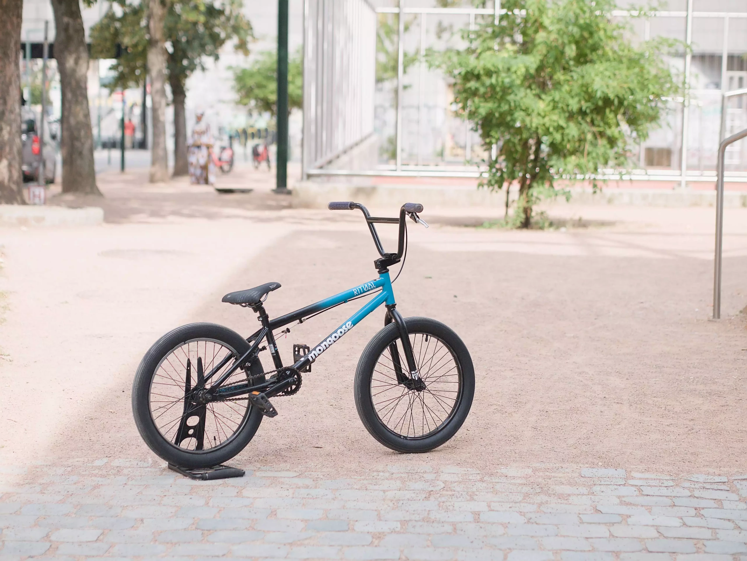 Mongoose BMX_04