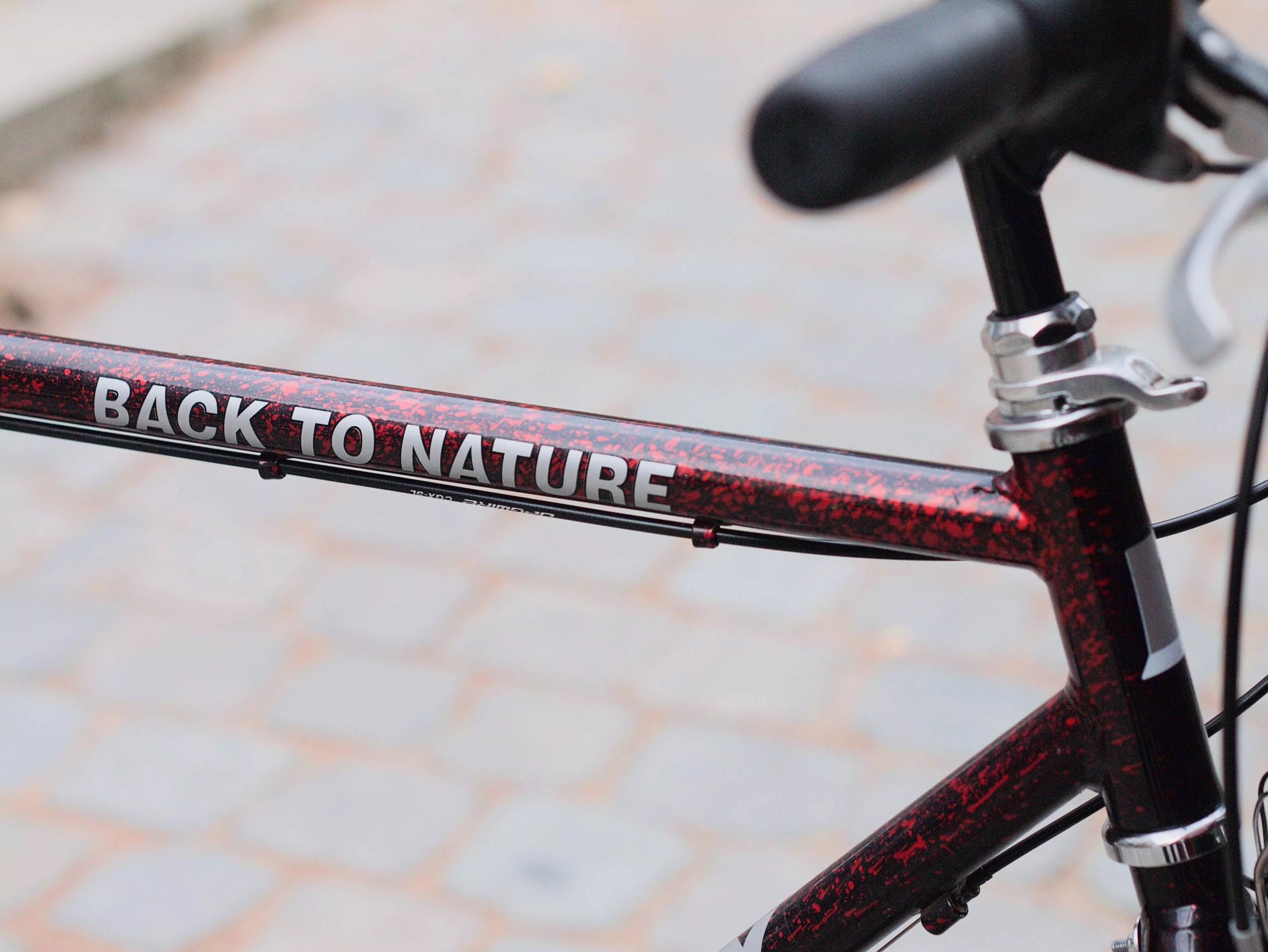 DiscoveryBackToNature_rougenoir_04