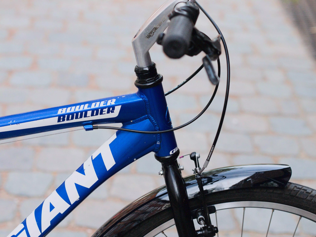 GiantBoulder_bleu_04