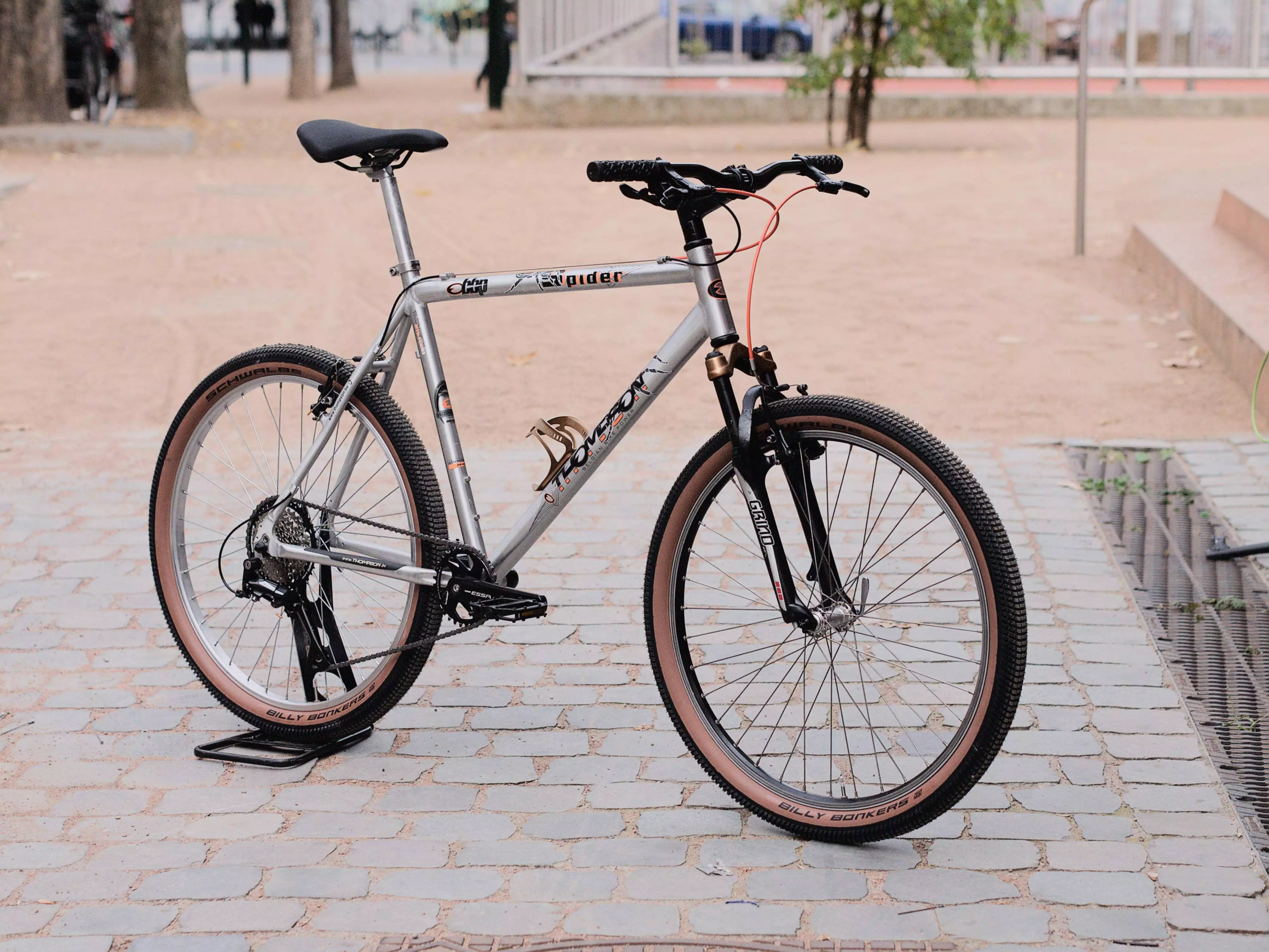 Thompson_spider_gris_02